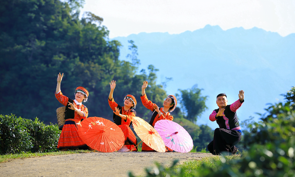 Discovering Vietnam: A Journey of Cultural Exploration vietnam tour packages